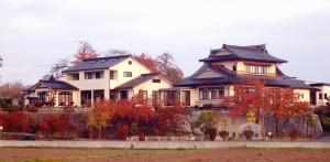庫裡裏側の紅葉。ペット供養塔も紅葉に包まれています
