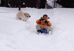 そりを追いかける野々花
