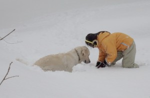 光ちゃんが作る雪玉を真剣にみつめる