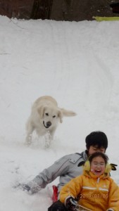 太郎君と一緒に滑る。野々花も後を追う