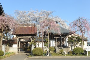 参道より撮影