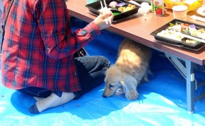 モグモグちゃん、名前の通りです