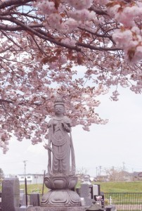 花に囲まれ、観音様も微笑んでいます