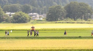 五穀豊穣を願い、黄金色の畦道をねりあるく