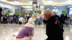 みんなで10までカウント。その間、じっとする野々花なのです。