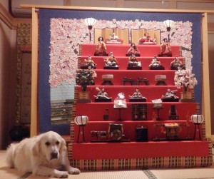 ひな祭りは野々花にとっては、あまり楽しい行事ではないようです。そんな顔付きです。