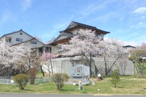 ペット供養塔を囲む桜