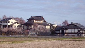 庫裡の後ろ側の桜。ペット供養塔、後方には岩手山が見えます