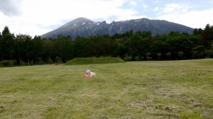 泳ぎの後は、「岩手県民の森」にて、フリスビーで遊びます。
