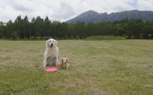 岩手山を背景に友だちの「ちゅら」ちゃんと。