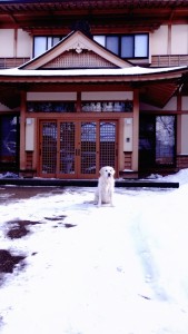 今年一年、宜しくお願い致します。野々花です。