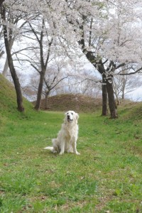頂上への途中で その2