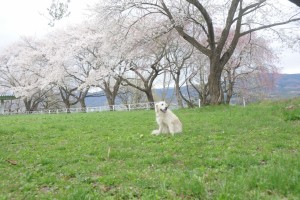姫御殿跡の広場にて
