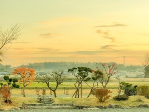 境内庭園墓地